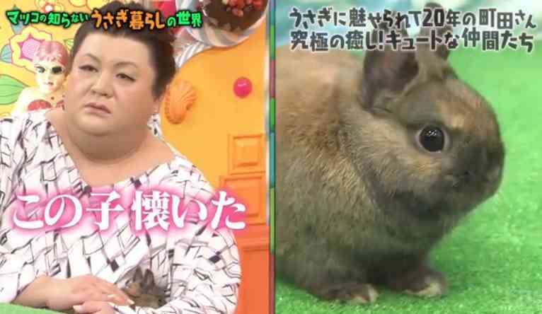 マツコの知らない世界 スキな人 ガールズちゃんねる Girls Channel