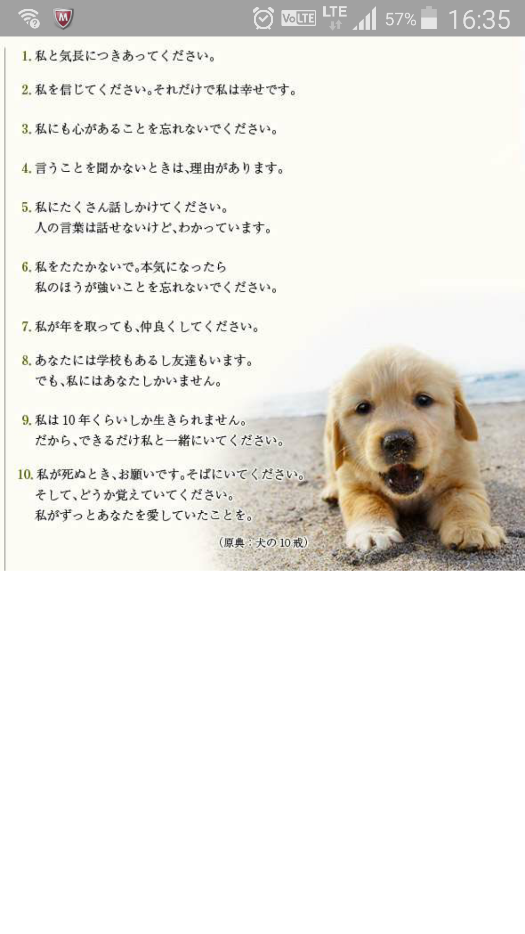 心にグッとくる画像貼っていきましょう