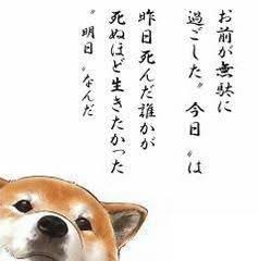 心にグッとくる画像貼っていきましょう