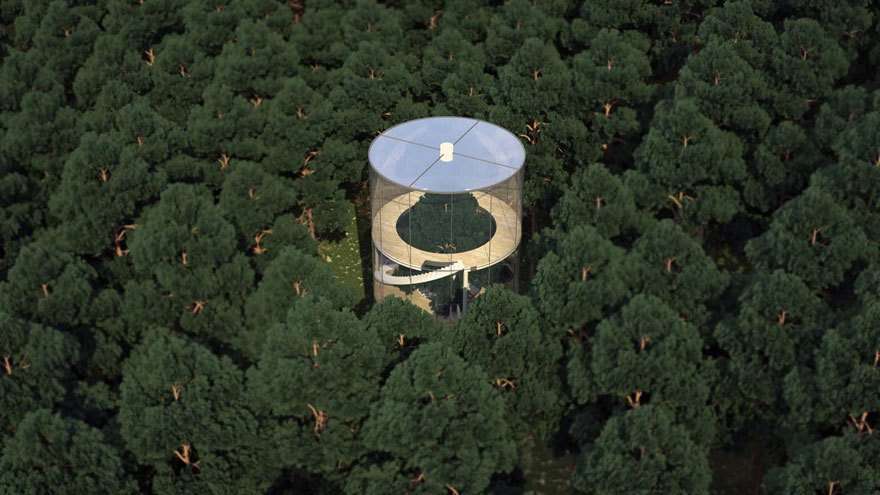 自然との融合を目指す家「Tree in the House」に世界中が注目