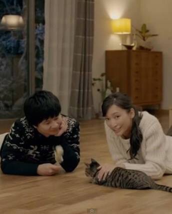 コマーシャルで理想の夫婦は誰ですか?