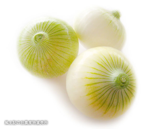 新たまねぎのオススメの食べ方