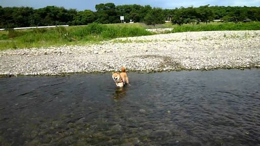 【エロ以外】気持ち良さそうな画像を貼るトピ