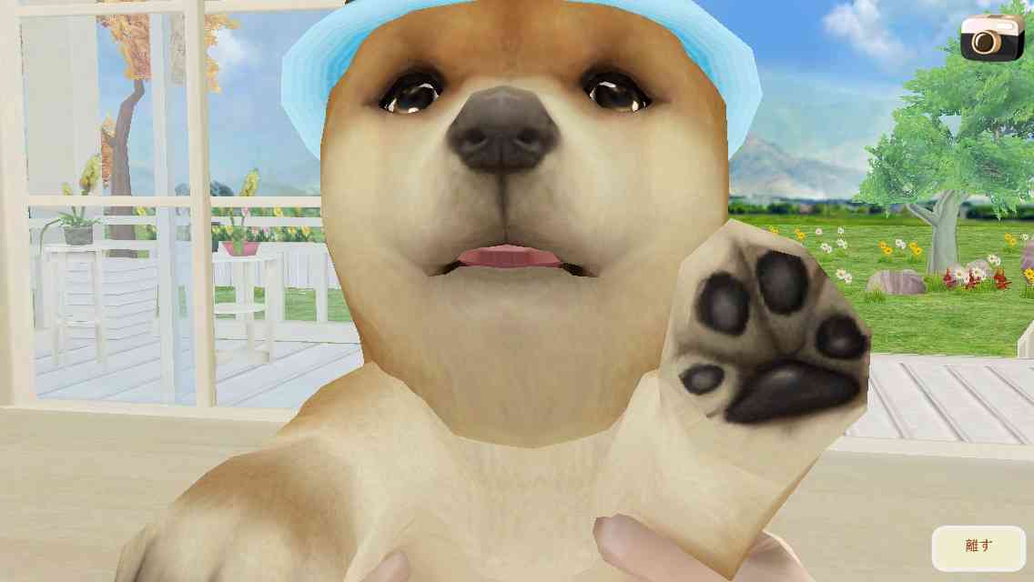 【エロ以外】気持ち良さそうな画像を貼るトピ