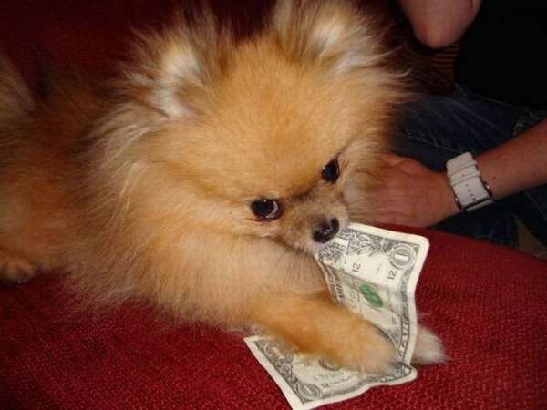 【エロ以外】気持ち良さそうな画像を貼るトピ