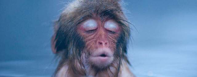 【エロ以外】気持ち良さそうな画像を貼るトピ