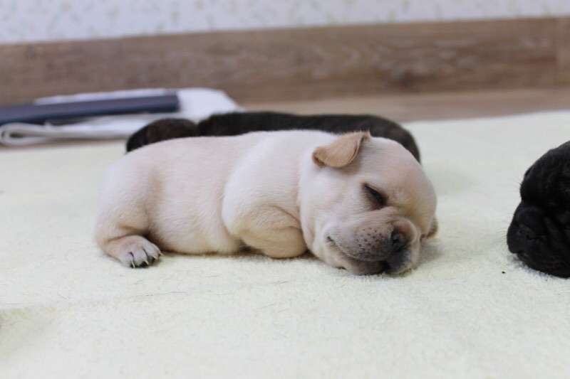 【エロ以外】気持ち良さそうな画像を貼るトピ