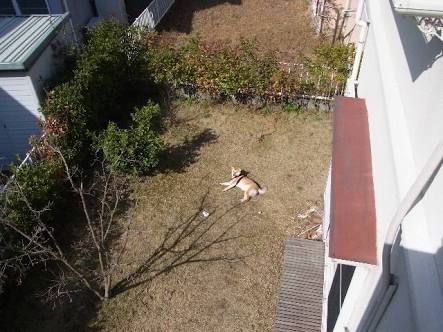 【エロ以外】気持ち良さそうな画像を貼るトピ