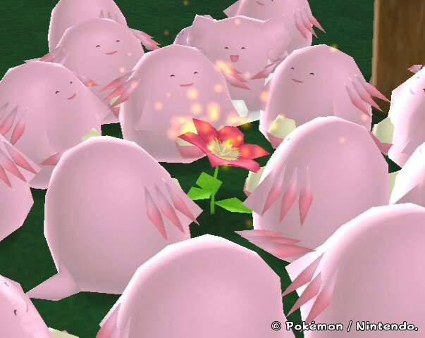 好きなポケモンの画像を貼っていこう！