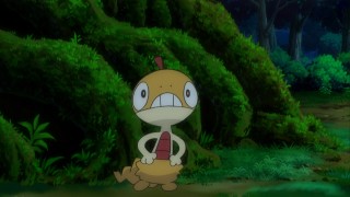 好きなポケモンの画像を貼っていこう！