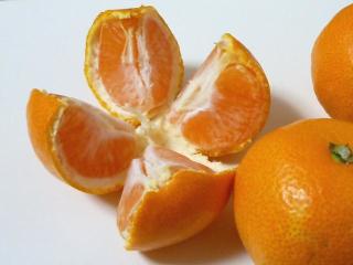 みかんが好きな人！