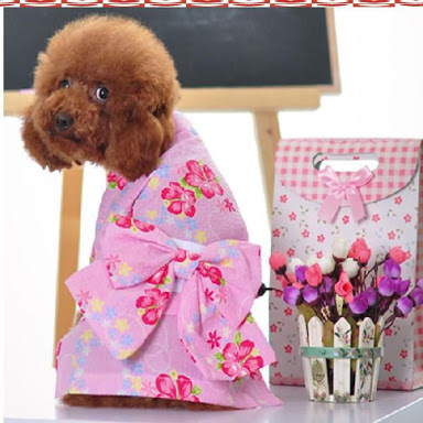 お花見デートの服装