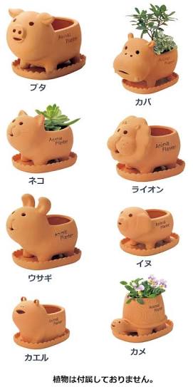 ホームセンターが好きな人！