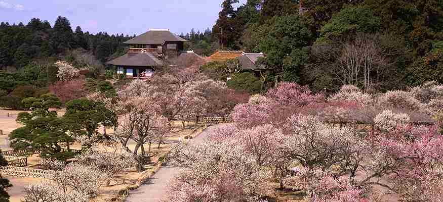 一人旅におすすめの県は？