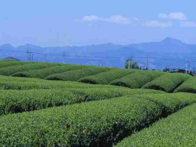 一人旅におすすめの県は？
