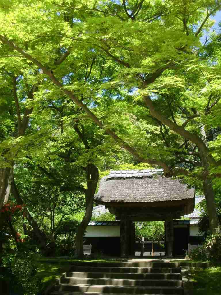 一人旅におすすめの県は？