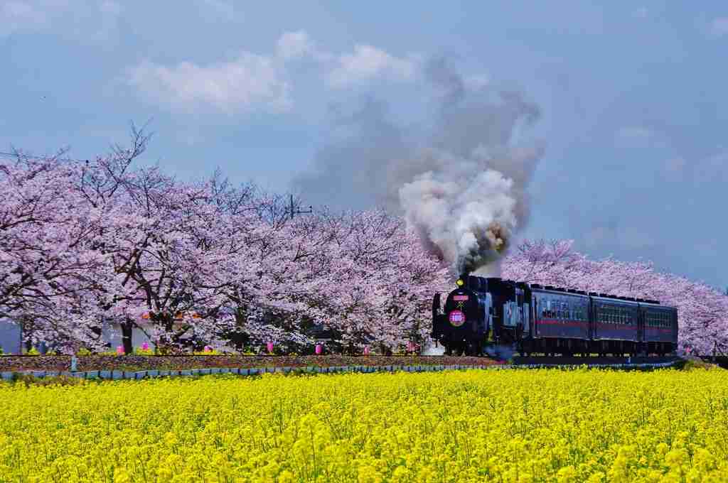 一人旅におすすめの県は？