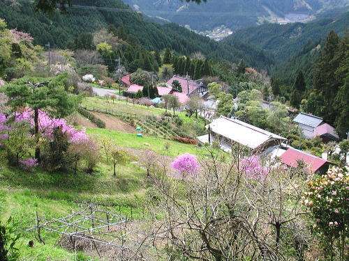 一人旅におすすめの県は？