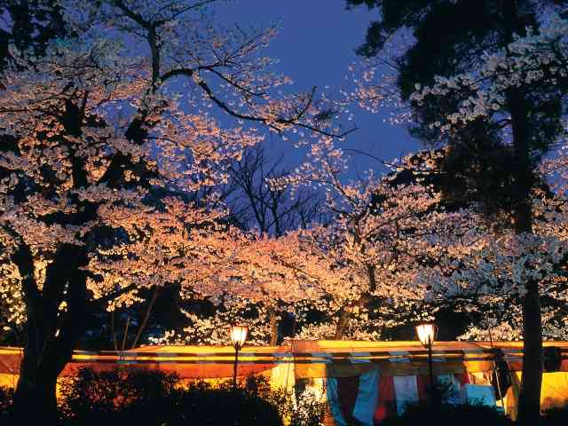 一人旅におすすめの県は？