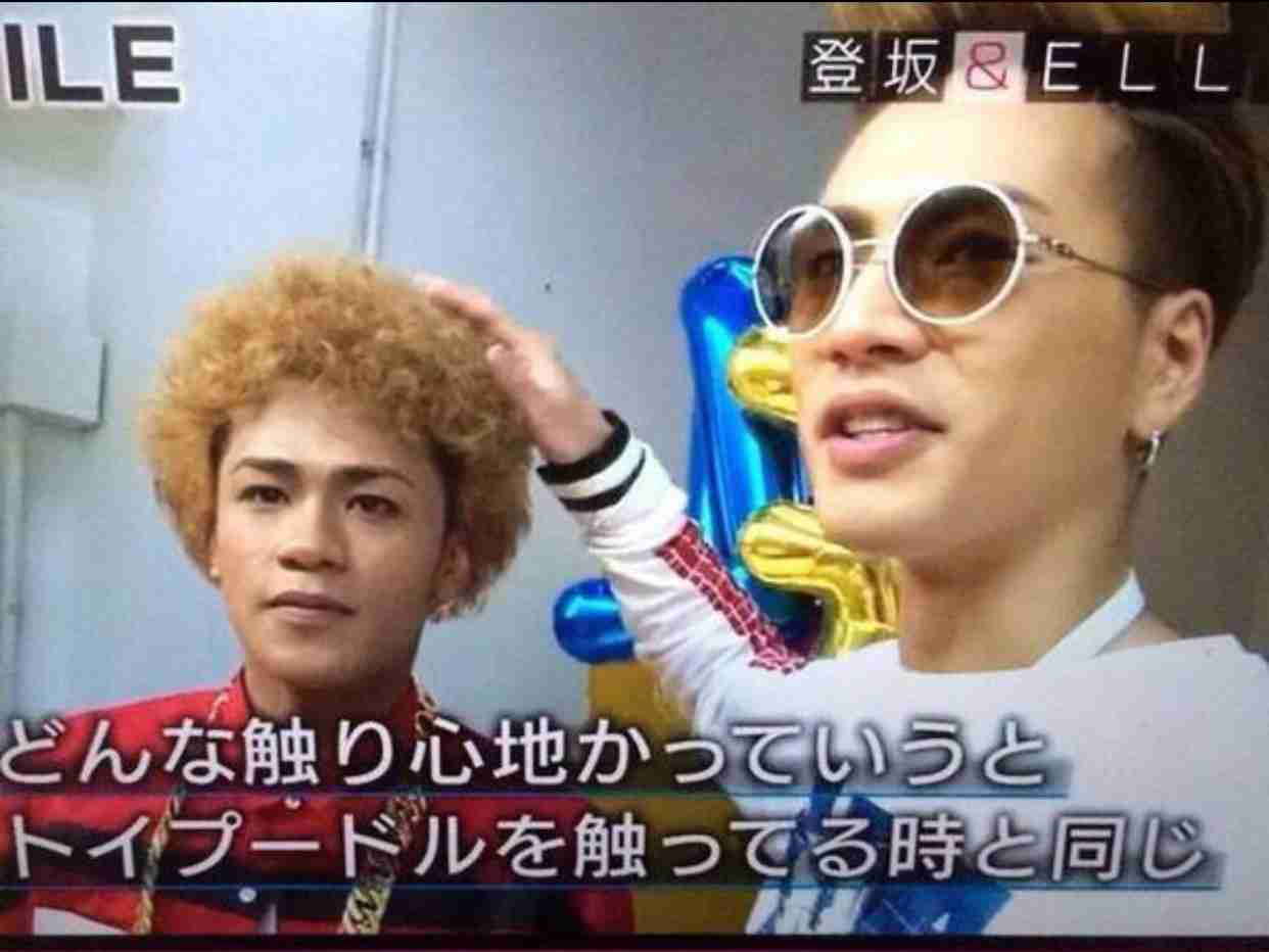 ほのぼのした芸能人の画像トピ