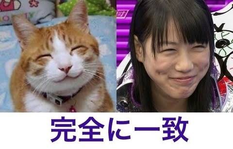 ほのぼのした芸能人の画像トピ