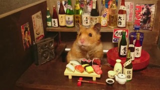 雑談トピで仲良くなった人と、もっとお喋りするトピ