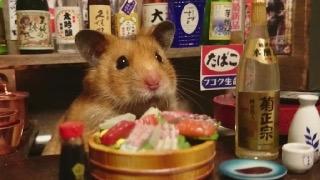 雑談トピで仲良くなった人と、もっとお喋りするトピ