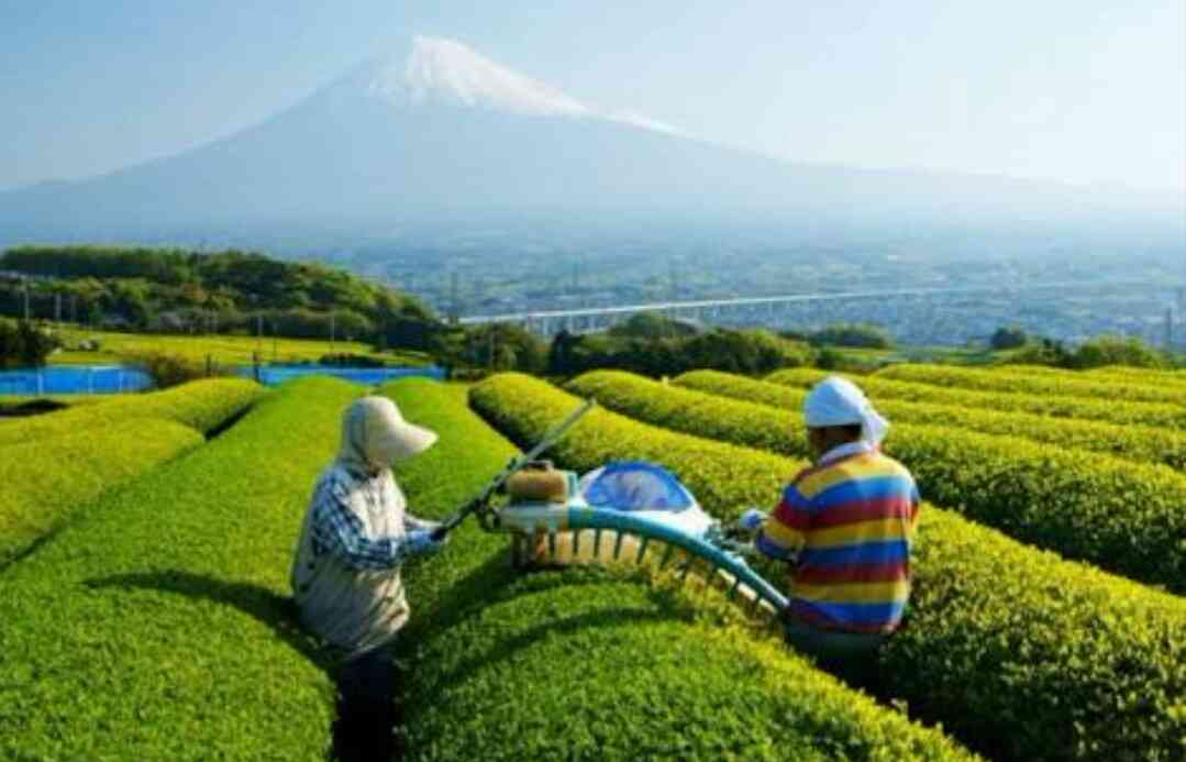 雑談トピで仲良くなった人と、もっとお喋りするトピ