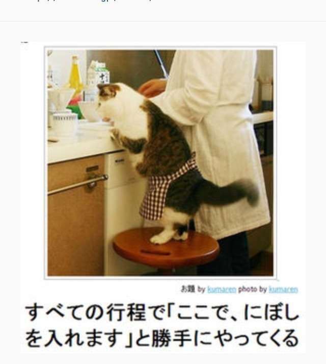 雑談トピで仲良くなった人と、もっとお喋りするトピ