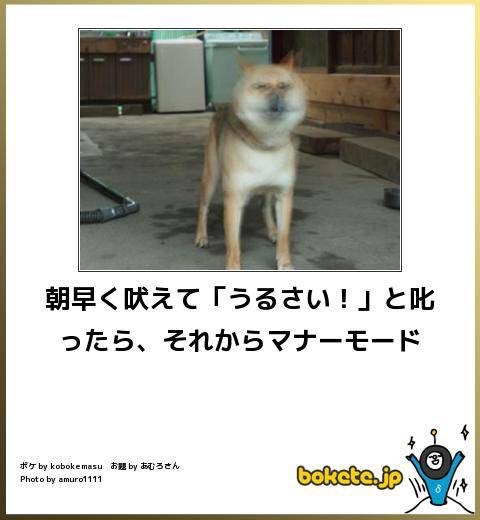 雑談トピで仲良くなった人と、もっとお喋りするトピ