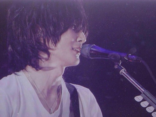 鼻の綺麗な芸能人