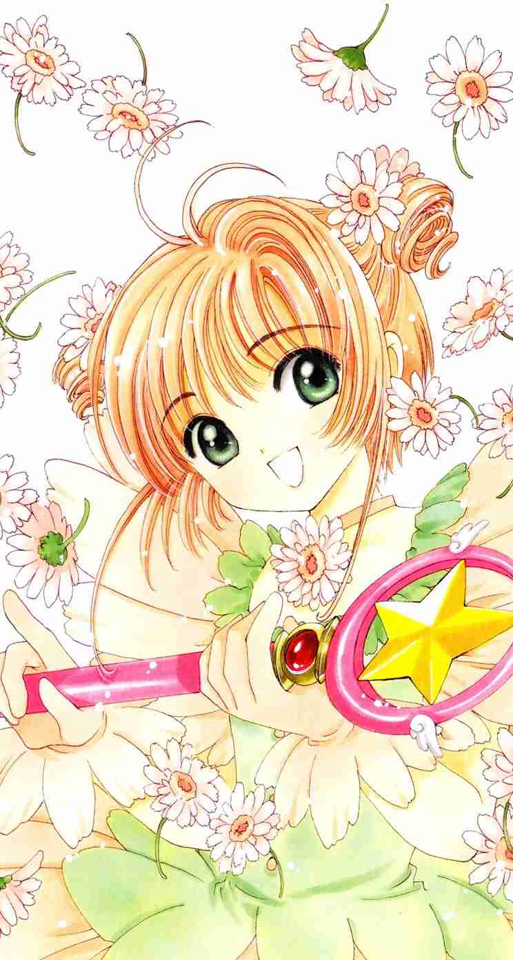 最近見つけた可愛いものや事柄