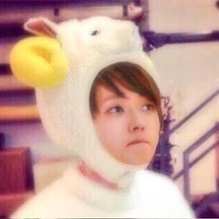 最近見つけた可愛いものや事柄