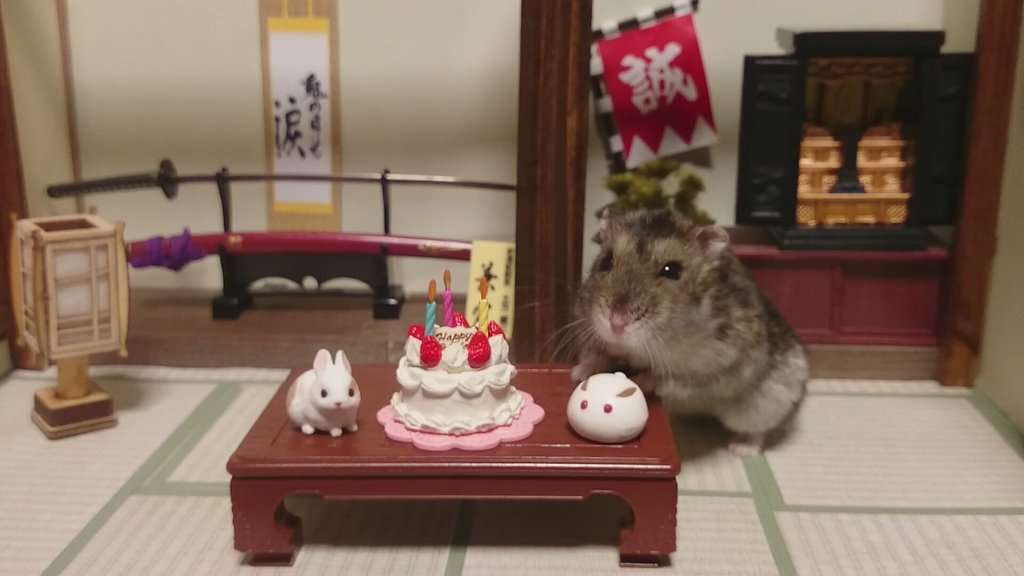最近見つけた可愛いものや事柄