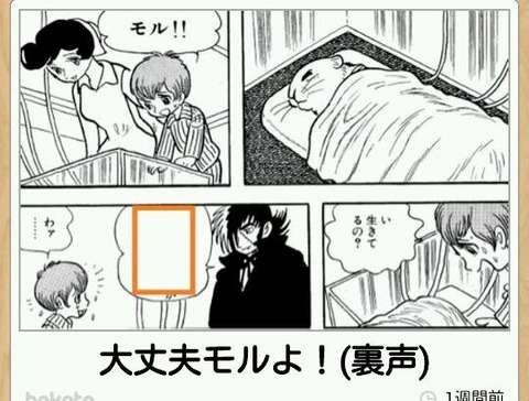スギちゃんみたいに喋るぜぇ　スギ花粉到来編