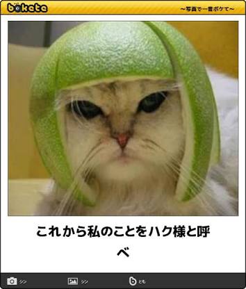 こちらでは気の済むまでハク様を語りましょう