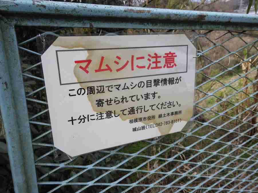 藤本美貴のすっぴんに「かなりかわいい」「本当に綺麗なお母さん」反響続々!