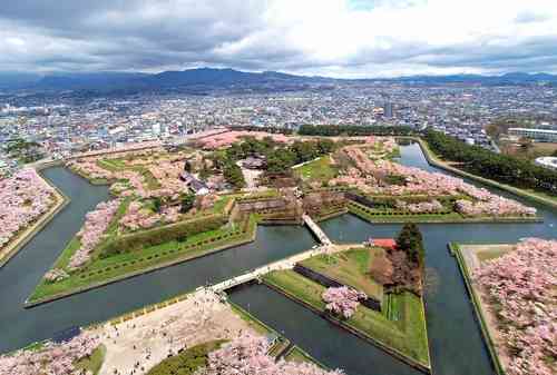桜の名所を紹介するトピ