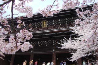 桜の名所を紹介するトピ