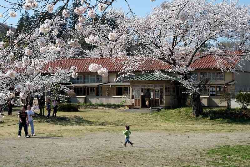 桜の名所を紹介するトピ