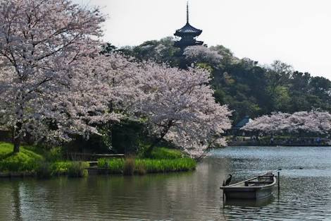 桜の名所を紹介するトピ