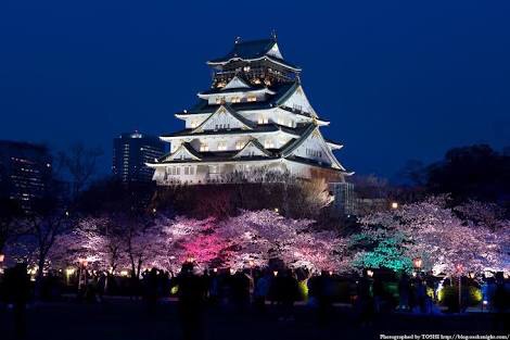 桜の名所を紹介するトピ