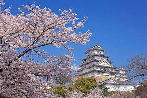桜の名所を紹介するトピ