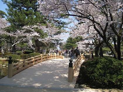 桜の名所を紹介するトピ