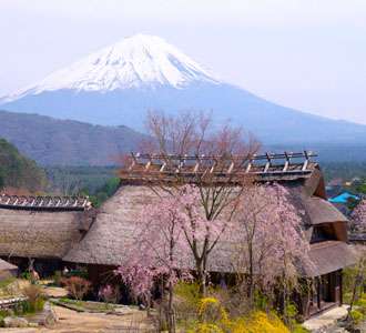 桜の名所を紹介するトピ