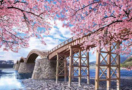 桜の名所を紹介するトピ