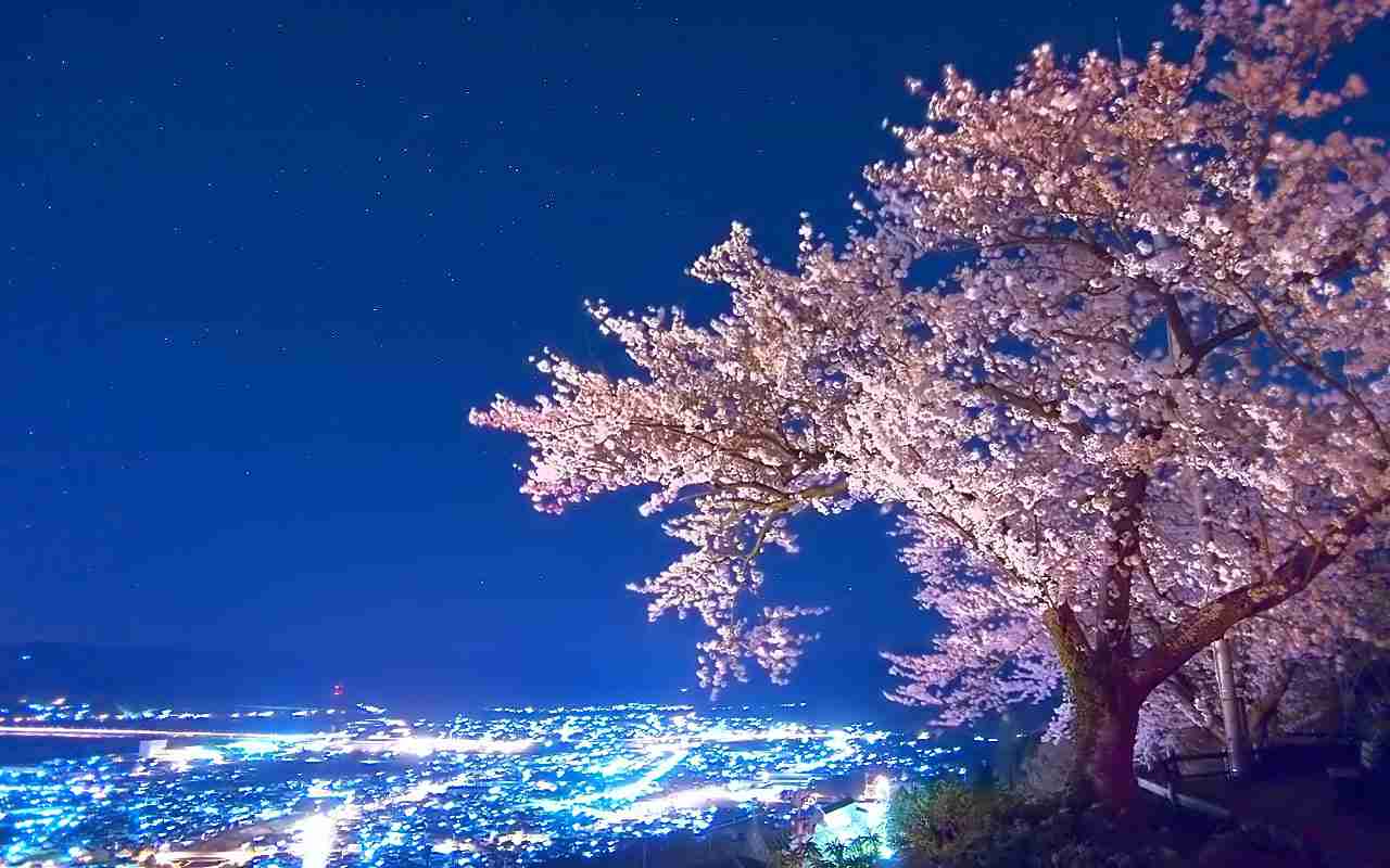 桜の名所を紹介するトピ