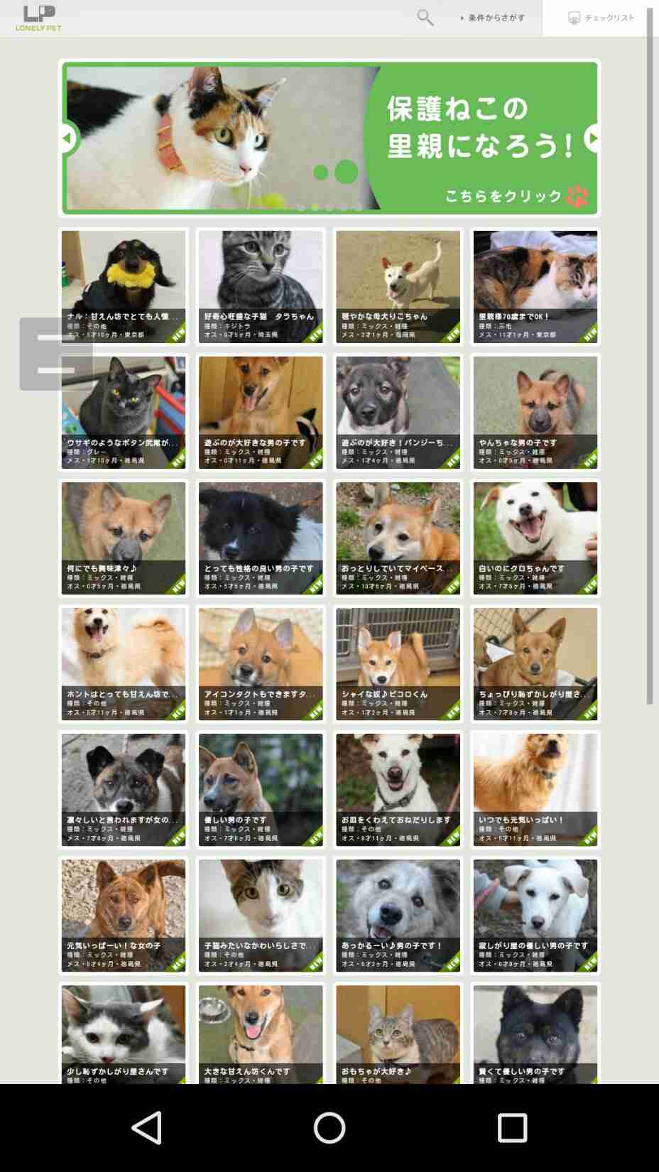 犬・猫の譲渡会案内