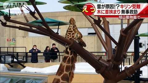 ダウンタウン松本人志ピンチ…探偵！ナイトスクープに依頼して～