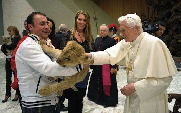 ちょっと変わった場所にいる動物の画像を貼るトピ